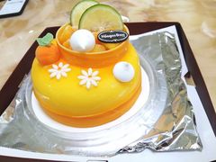 -哈根达斯(深圳海岸城店)