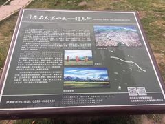 -特克斯八卦城