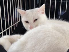 -熊猫邮局(少城店)