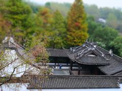 -西溪国家湿地公园