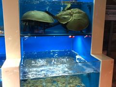 水产区-鹰龙海畔度假酒店(咸祥店)