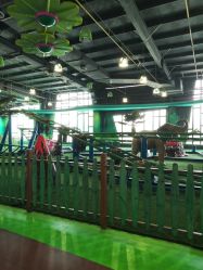 -维佳童话镇演出现场(徐东店)