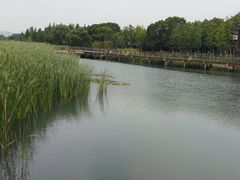 -太湖湖滨国家湿地公园-停车场