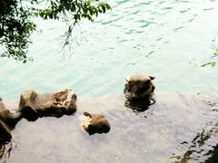 -石燕湖生态旅游景区