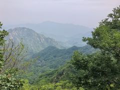 -大岭沟猕猴桃谷风景区