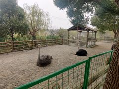 -苏州太湖西山岛开心农场