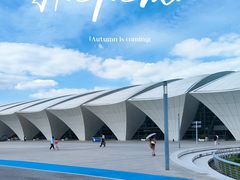 -上海山野camping·户外天幕烧烤·团建拓展营地