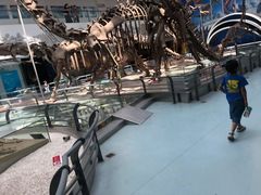 -中国地质大学逸夫博物馆