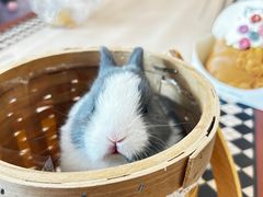 -大象厨房(重庆道店)