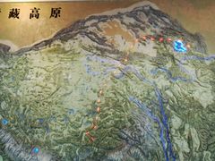 -青藏高原自然博物馆