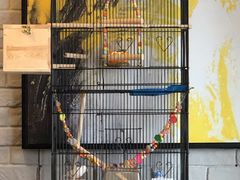 -梧桐树下(云锦世家店)