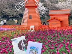 -苏州上方山国家森林公园