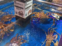-盒马X会员店(王府井奥莱UP TOWN店)