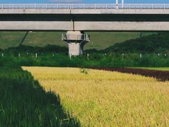 -光明小镇欢乐田园