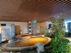 -齐河孔雀王温泉酒店·金孔雀自助百汇