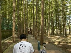 -南京金牛湖风景区