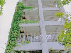 -梅沙尖