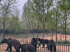 -秦皇岛野生动物园