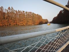 -上海海湾国家森林公园