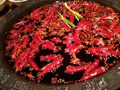 红汤锅底-潮火锅·麻辣牛肉火锅(观音桥方圆·LIVE店)
