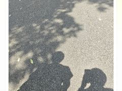 -海珠湖公园