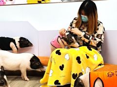 -猪盟咖啡店(玖洲道店)