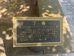 -内蒙古将军衙署博物院