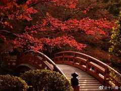 -醍醐寺