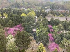 -大慈恩寺(大雁塔)