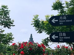 -荷兰花海