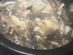 -探窝·竹笙椰子鸡(杨箕店)