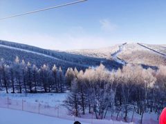 -多乐美地滑雪场