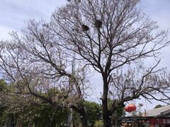 -姥家大锅台水库渔家