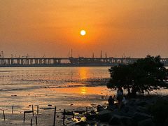 -宝安西湾红树林湿地公园