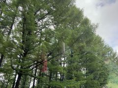 -御道口草原森林风景区