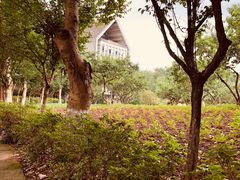 -四川美术学院美术馆