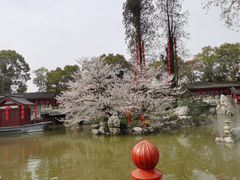 -陇上秦轩biangbiang面(萧山万象汇店)