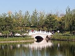 -西海子公园