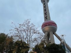 -东方明珠广播电视塔