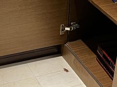 -和平宾馆(王府井店)