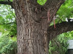 -洛阳周公庙博物馆