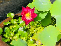 -青州市云门山风景区