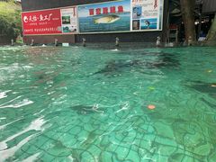 -天怡·鱼工厂(梅溪湖店)
