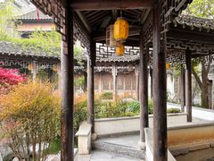 -芥子园
