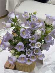 -WENDY·温迪皮肤管理