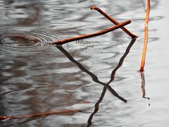 -大宁郁金香公园-停车场