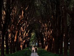 -上海科技馆(地铁站)