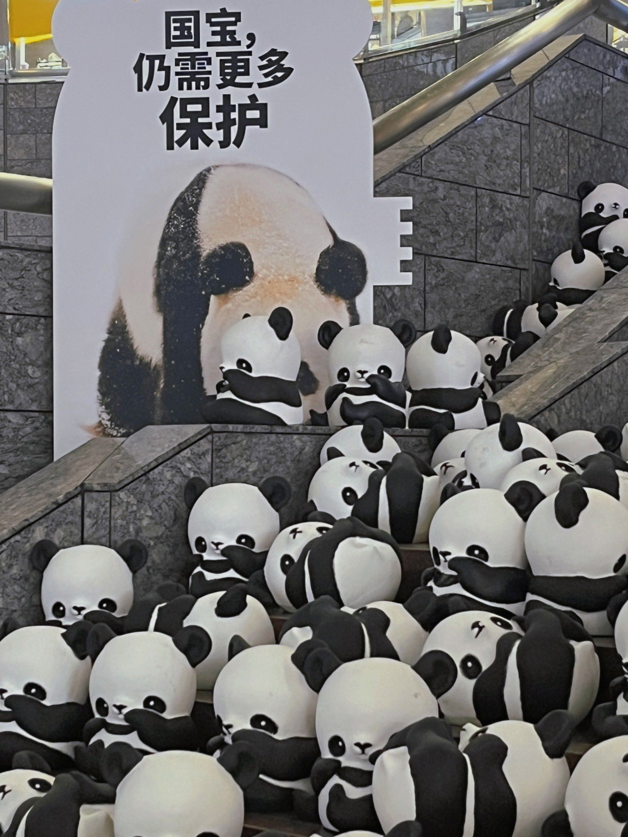 1864大熊猫巡展来上海了!