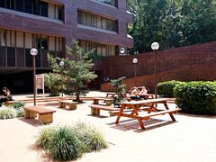-香港大学