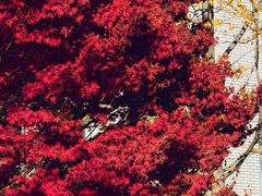 -江南大学(蠡湖校区)